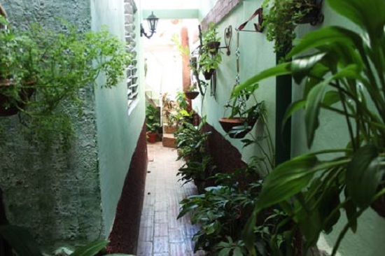 'Patio interior' Casas particulares are an alternative to hotels in Cuba.